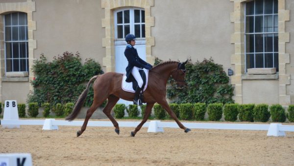 Pompadour : analyse du dressage avec Serge Cornut