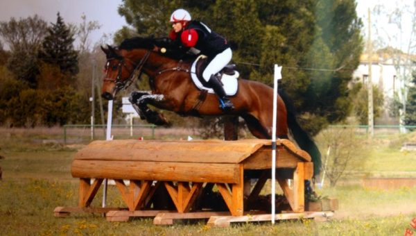 Meilleur 7 ans Amateur : les dernières recrues !