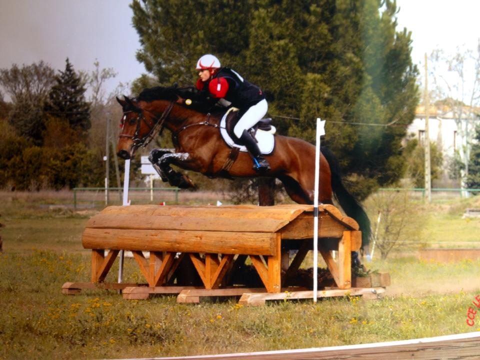 Meilleur 7 ans Amateur : les dernières recrues !