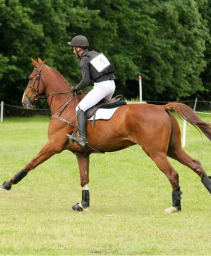 Hauteville : Tynoe meilleur 7 ans Amateur