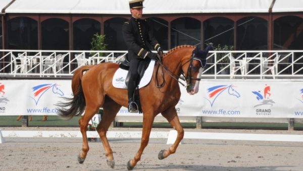 Jardy : trois 8 ans en tête de la Pro élite