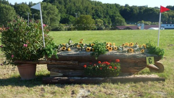 Neewiller : l’un des derniers CCE du Grand Est à découvrir !