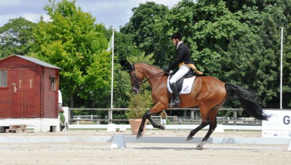 Jardy : Maxime et Pica au dressage