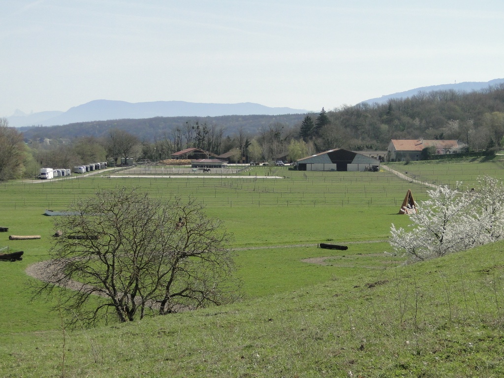 Vue d'ensemble des templiers depuis la colline