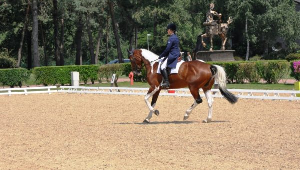 Saumur : les jeunes très appliqués !