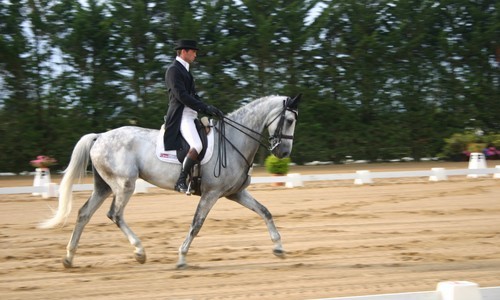 Bazoges : Mathieu Lemoine en tête du CCI**