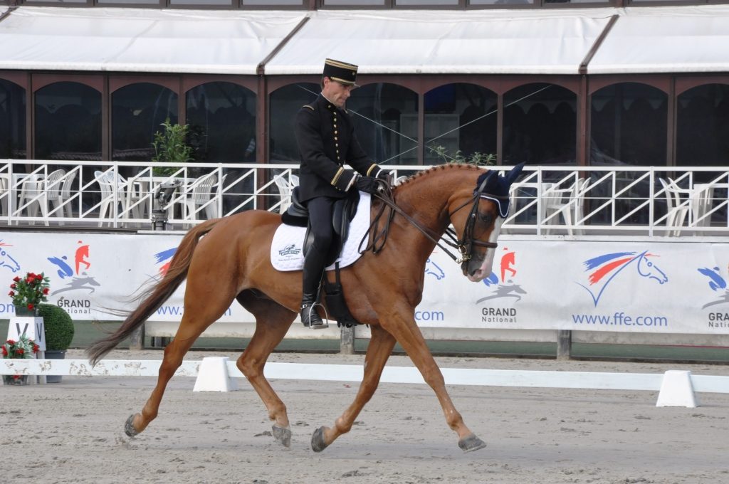 Saumur : Mark Todd en tête du 3*