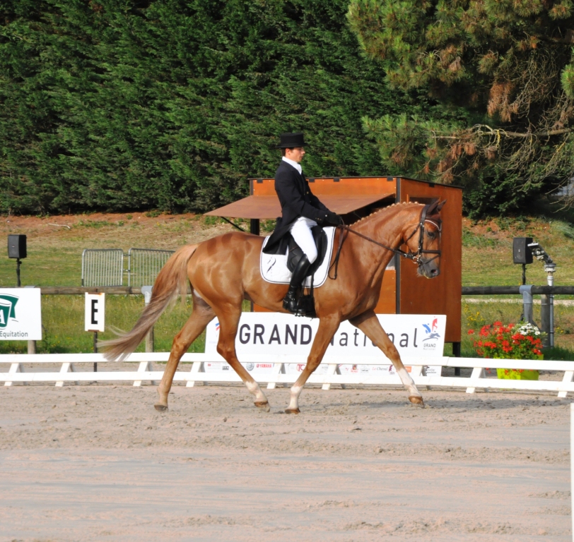 Barbury J1 : des nouvelles des Frenchies