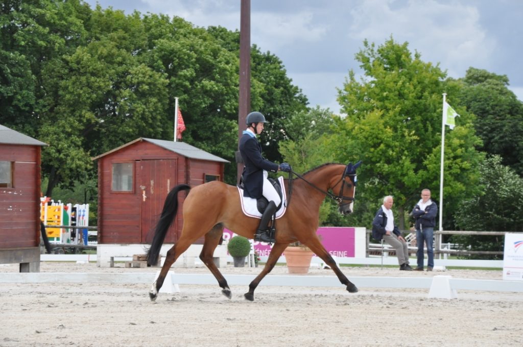 Blenheim : Sirocco 3ème après le dressage