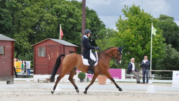 Blenheim : Sirocco 3ème après le dressage