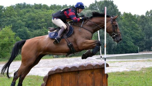 7 ans Amateur : Toundra de Revel et Tilburg récompensés