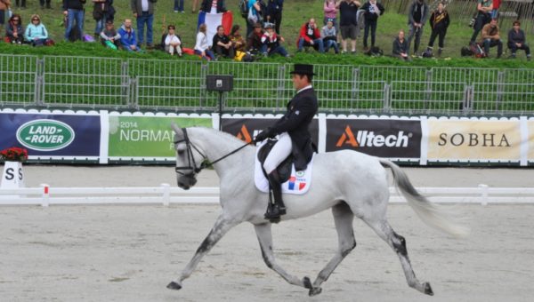 Les chevaux de Cédric Lyard