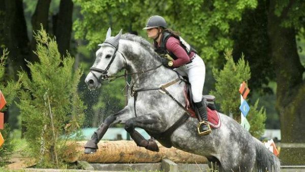 Chup a Chup : meilleur 7 ans Amateur à Fontainebleau