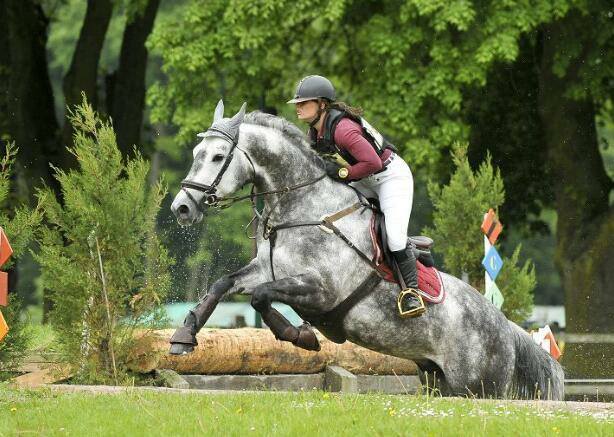 Chup a Chup : meilleur 7 ans Amateur à Fontainebleau