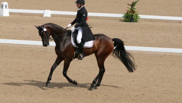 Hartpury : résultats du 1er jour