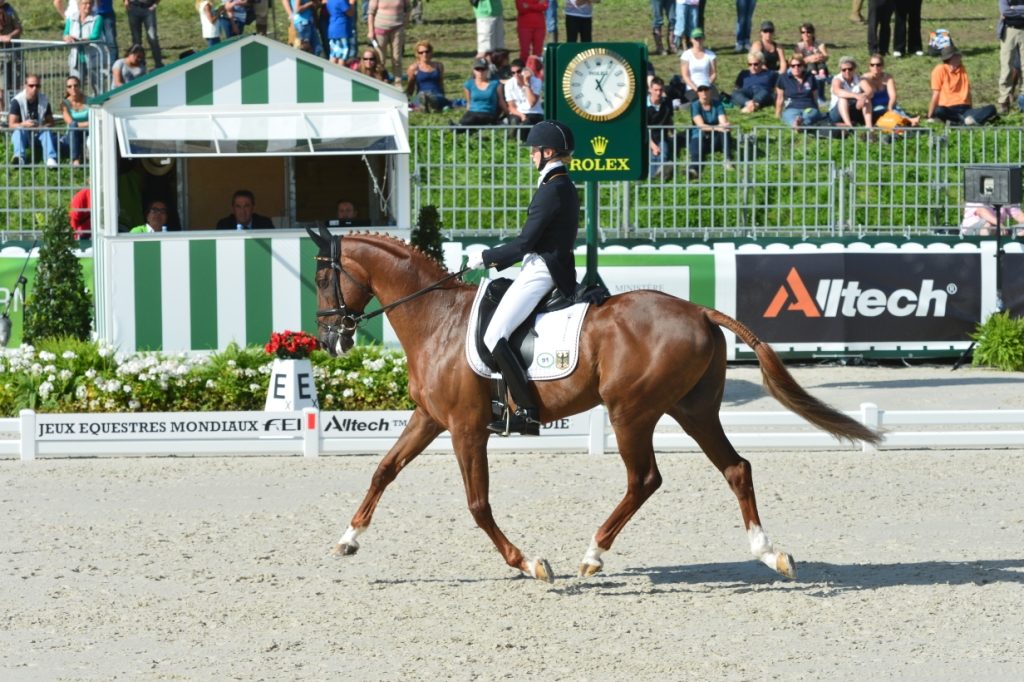 JEM : bilan du dressage avec le top 3