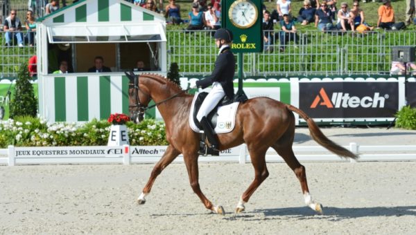 JEM : bilan du dressage avec le top 3