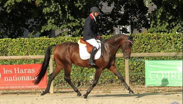 Pompadour : victoire d’Arpège du Mancel et Eddy Sans