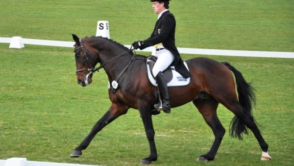 Journées : « sensibilisation au travail du juge de dressage »