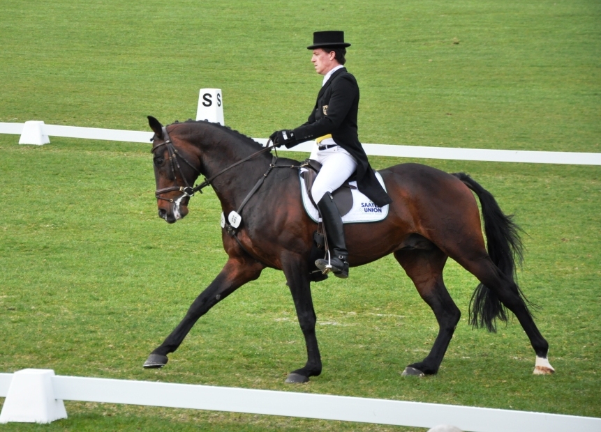 Journées : « sensibilisation au travail du juge de dressage »