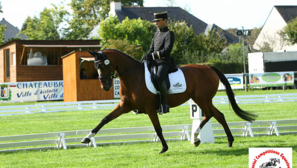 Châteaubriant : trois leaders au dressage !