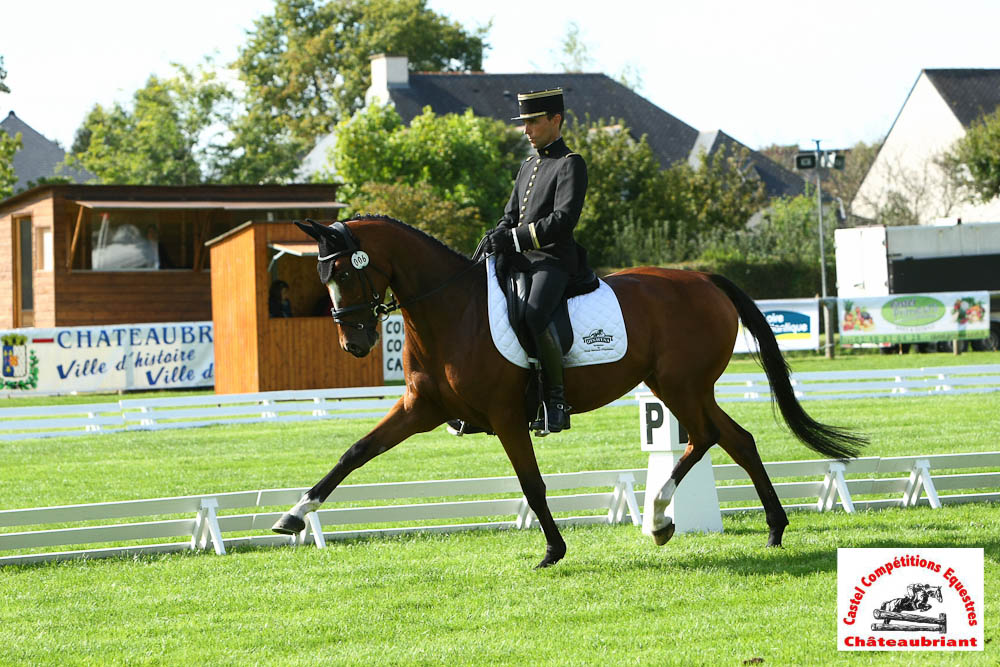 Châteaubriant : trois leaders au dressage !