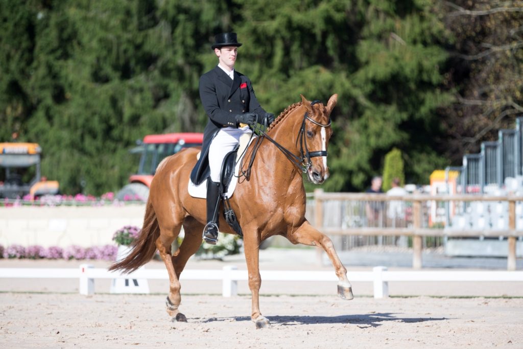 Luhmühlen : Julien Despontin met la barre très haute