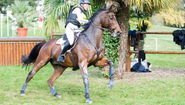 Pau : Klimke performe, Fox-Pitt abandonne