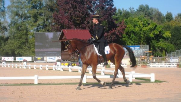 Pau : Premier jour du CIC**