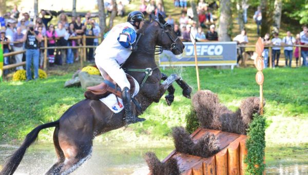 Les chevaux d’Eddy Sans