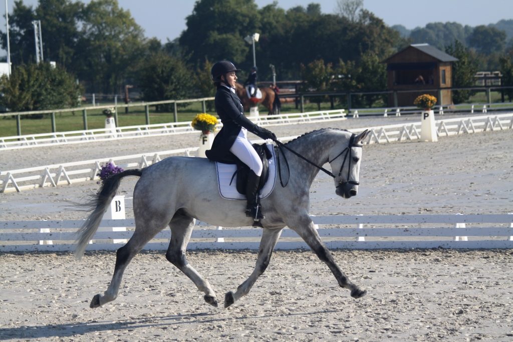 Lignières : Mc Ustinov en maître dans le CIC*