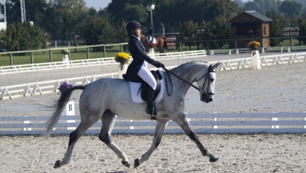 Lignières : Mc Ustinov en maître dans le CIC*