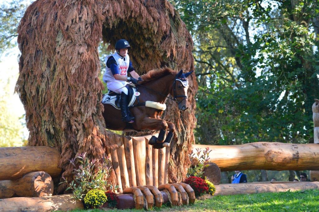 La FEI met de l’ordre dans les noms commerciaux des chevaux