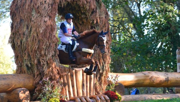 La FEI met de l’ordre dans les noms commerciaux des chevaux