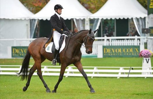 Mondial du Lion : deux Français en tête des 7 ans !