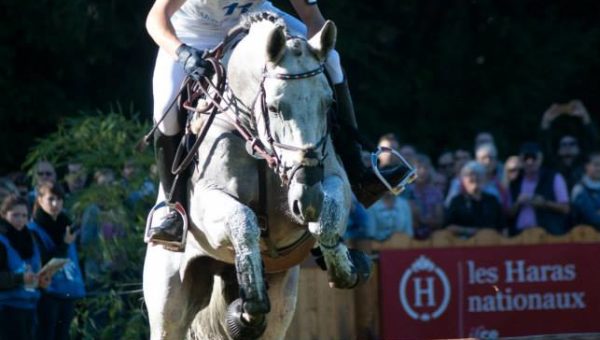 Mondial du Lion : Michael Jung en tête des 6 ans