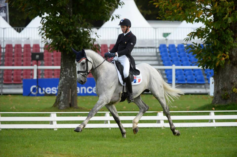 Mondial du Lion : Uzita devant Upsilon