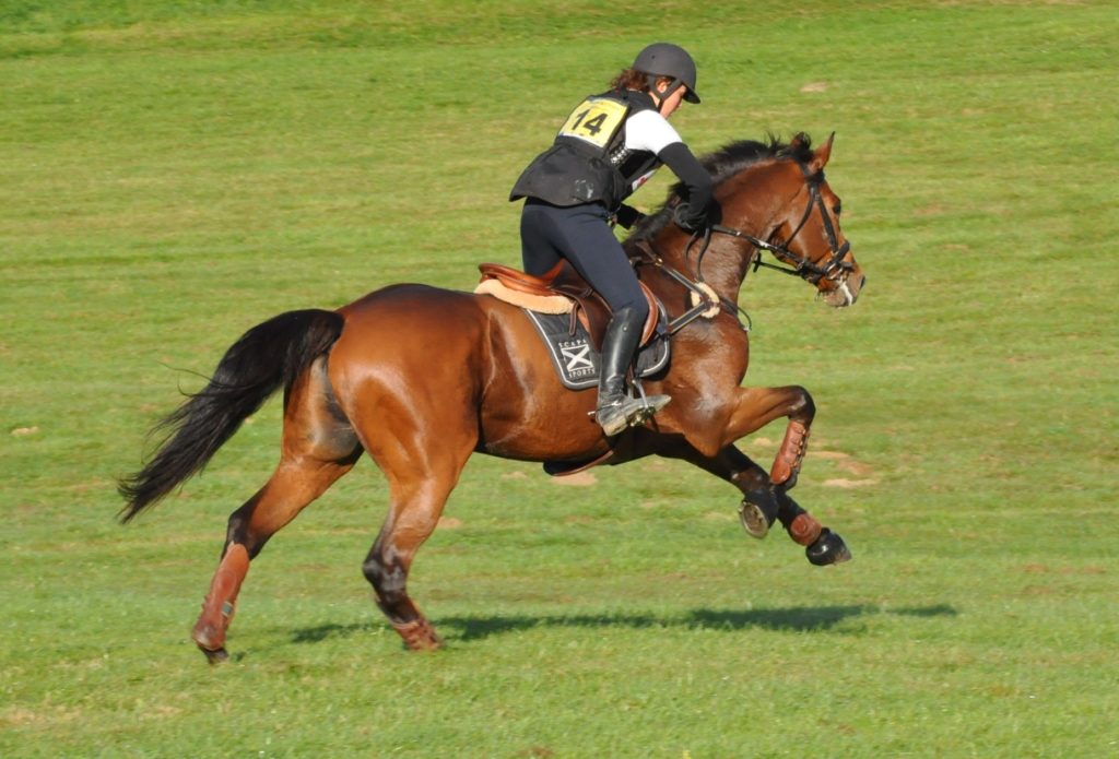 Les Championnes de France 2014 à Saumur