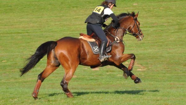 Les Championnes de France 2014 à Saumur