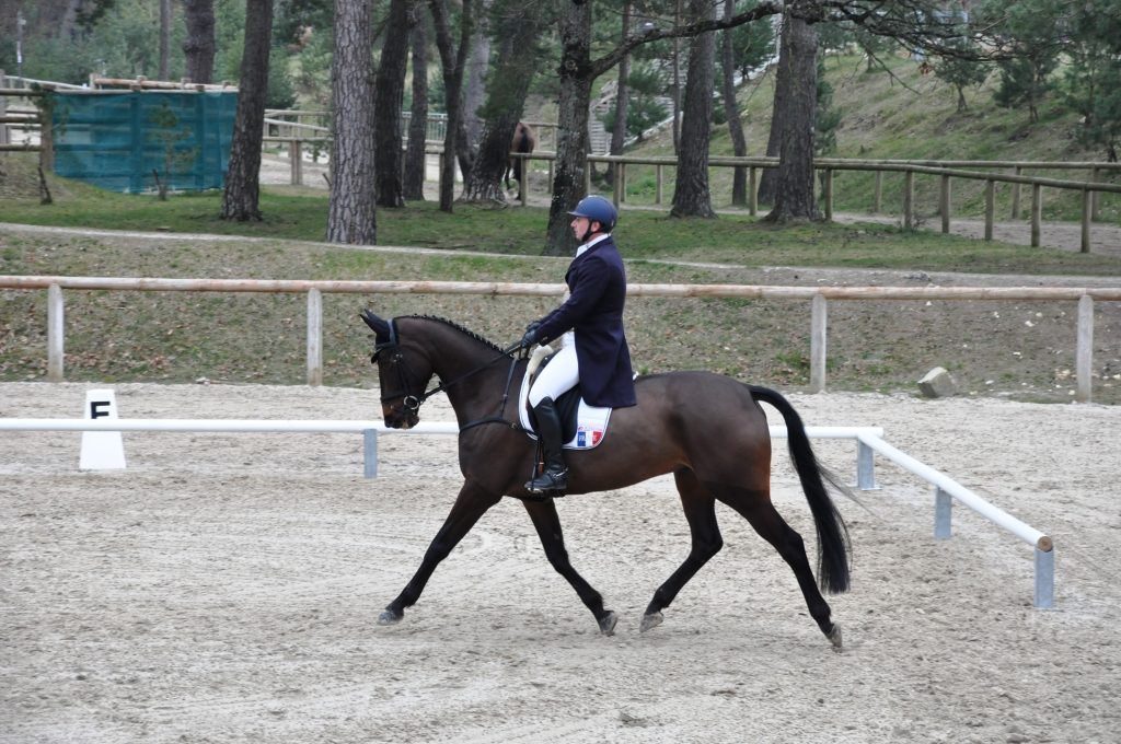 Saumur : Eddy Sans s’impose sur le dressage !