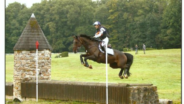 Fontainebleau : Ultimo d’Oline meilleur 7 ans