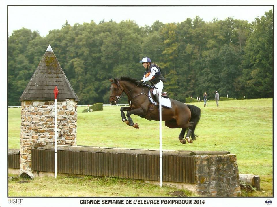 Fontainebleau : Ultimo d’Oline meilleur 7 ans