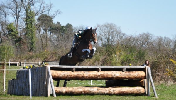 Fin de carrière pour Ocarina du Chanois