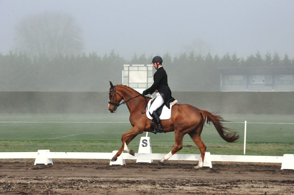 Strzegom : Nicolas Mabire dans le top 10 au dressage