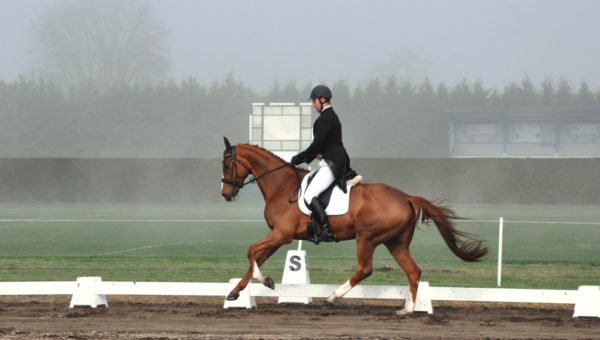 Strzegom : Nicolas Mabire dans le top 10 au dressage