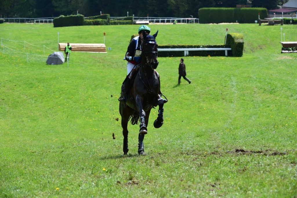 3 nouveaux chevaux dans le groupe JO/JEM