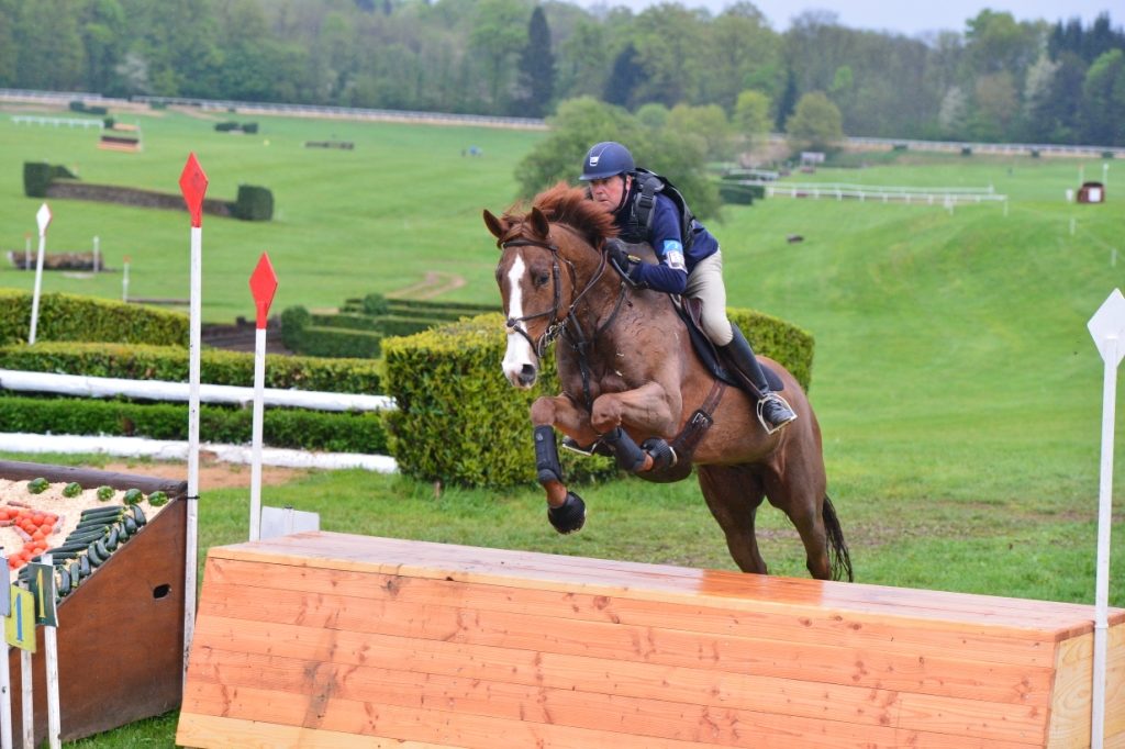 50 000£ pour les jeunes chevaux Anglais