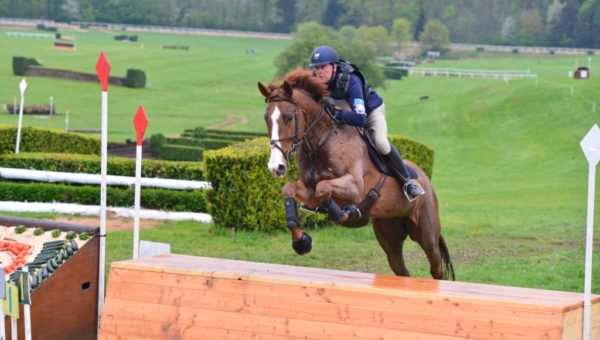 50 000£ pour les jeunes chevaux Anglais