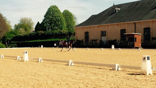 Thibault Vallette, roi du dressage à Pompadour