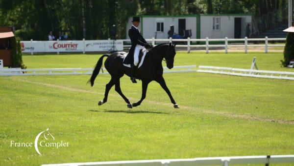 Saumur : « un cross typique de Saumur », dixit Andrew